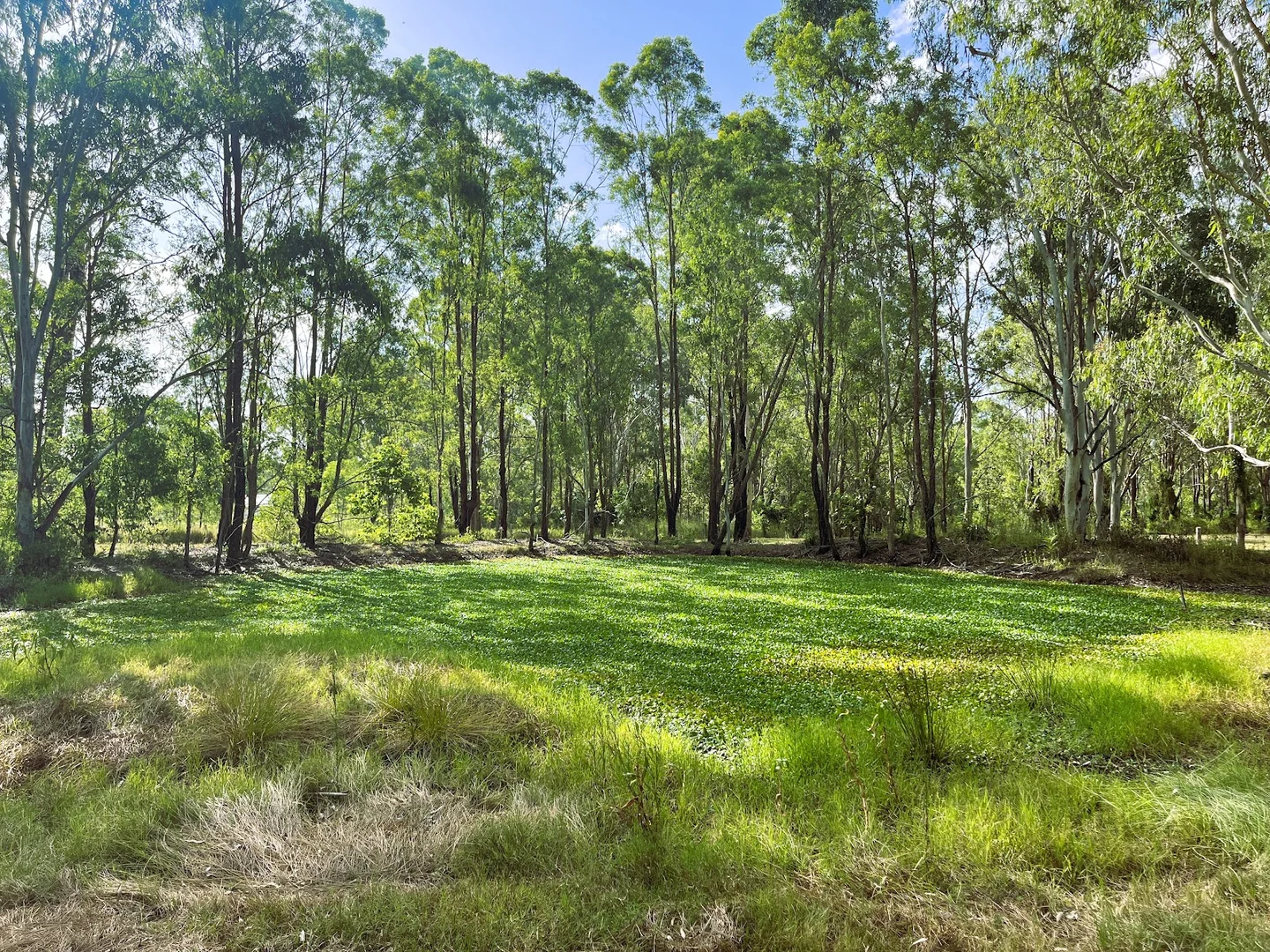 Additional image 15 of 97-111 Wearing Road, North Maclean QLD 4280