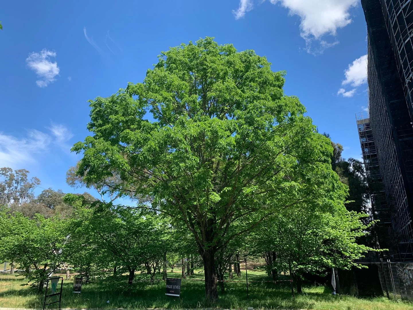 Additional image 21 of 14 Ibbott Lane, Belconnen ACT 2617