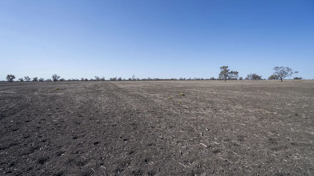 Additional image 3 of "Duffs Lea", Rowena NSW 2387