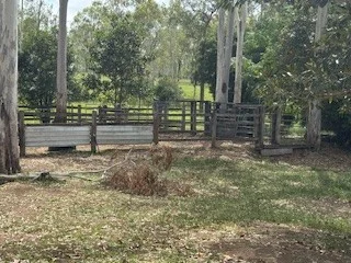 Additional image 10 of 142 PERRY RIVER FARMS RD, Morganville QLD 4671