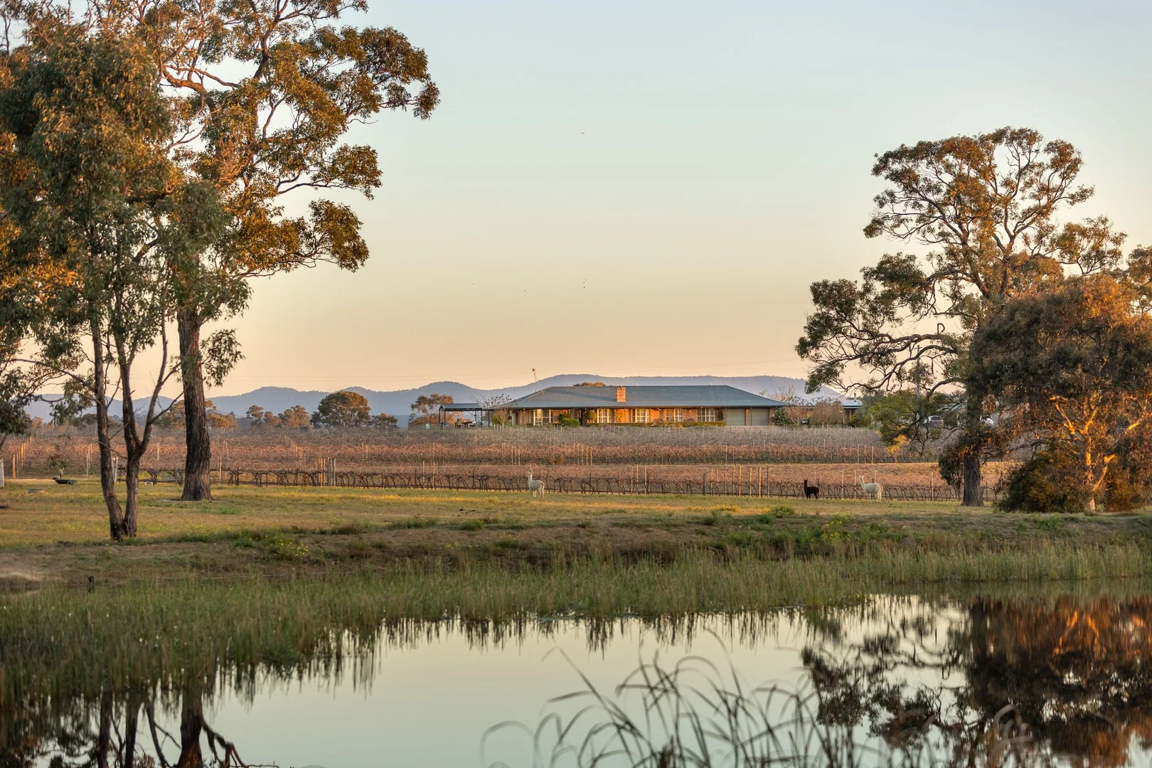 Additional image 10 of 168 Lomas Lane, Nulkaba NSW 2325