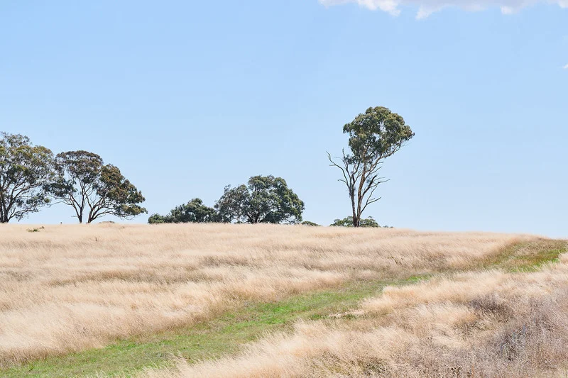 Additional image 10 of U6 Olea, Camilleri Way, Gungahlin ACT 2912