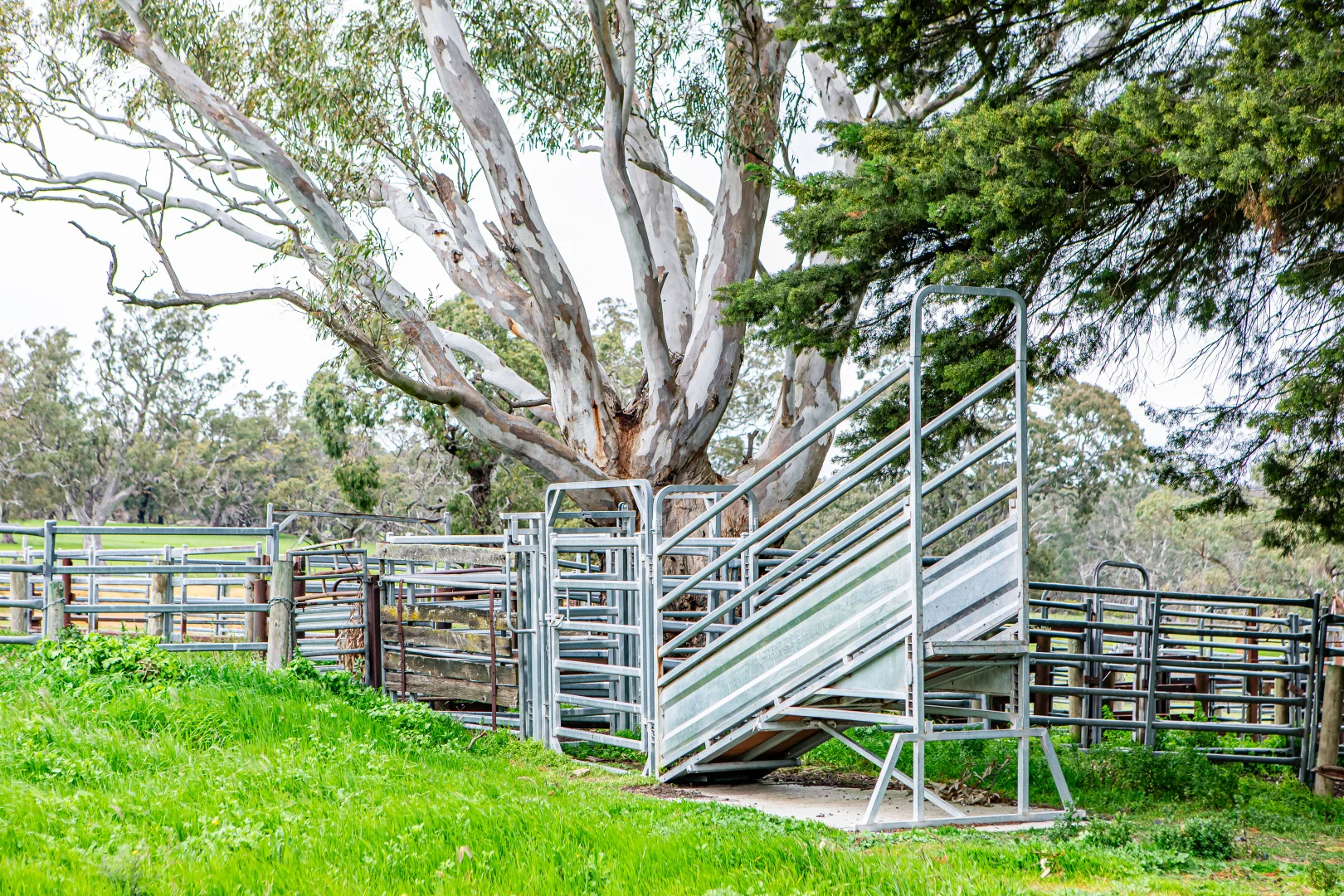 Additional image 12 of 3155 Casterton-Edenhope Road, Chetwynd VIC 3312