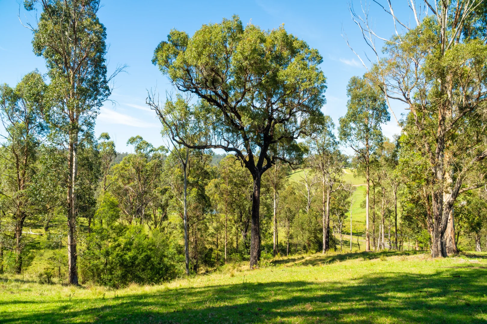 Additional image 25 of 18 Waincourt Road, Eurobodalla NSW 2545