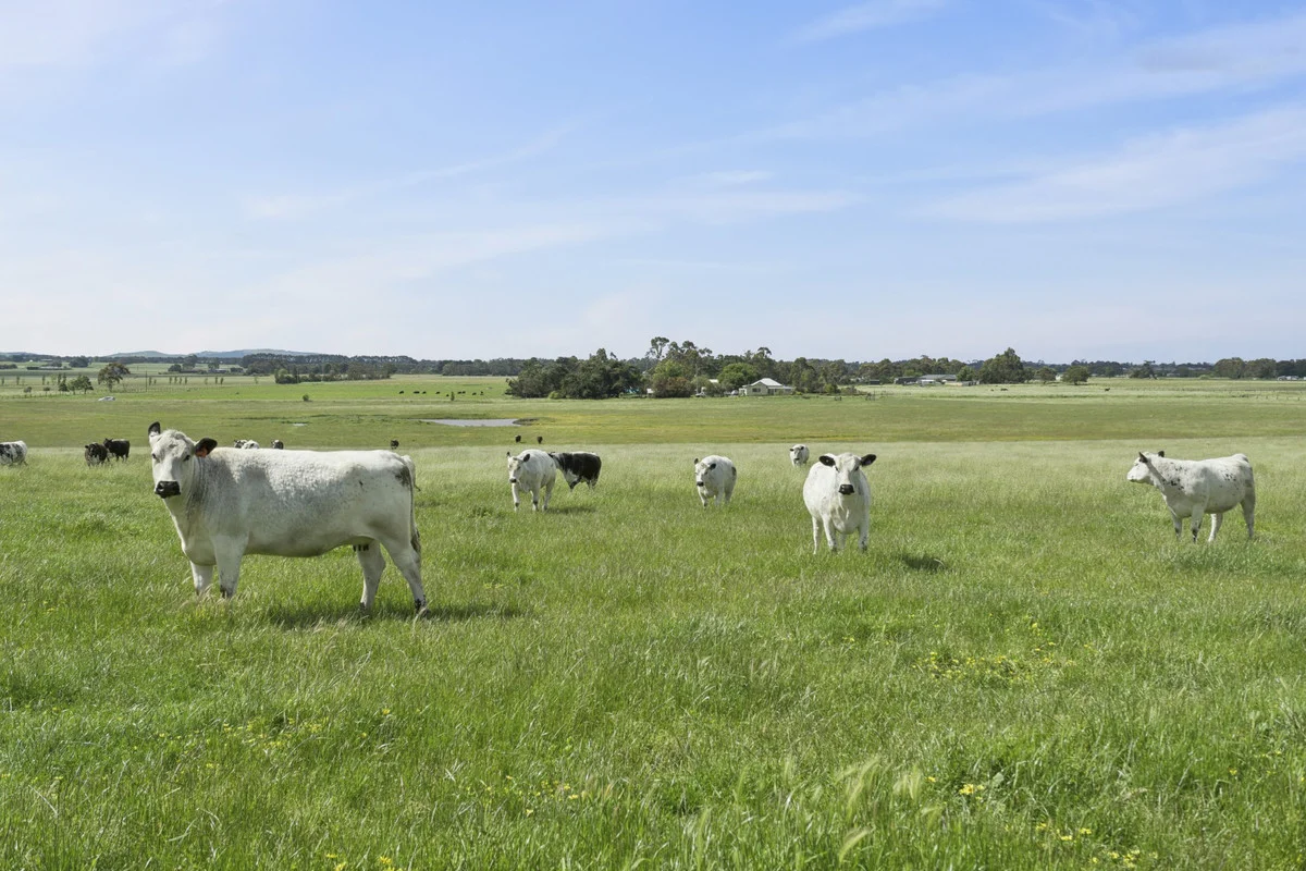 Additional image 8 of 45 Holmchase Road, Elliminyt VIC 3250