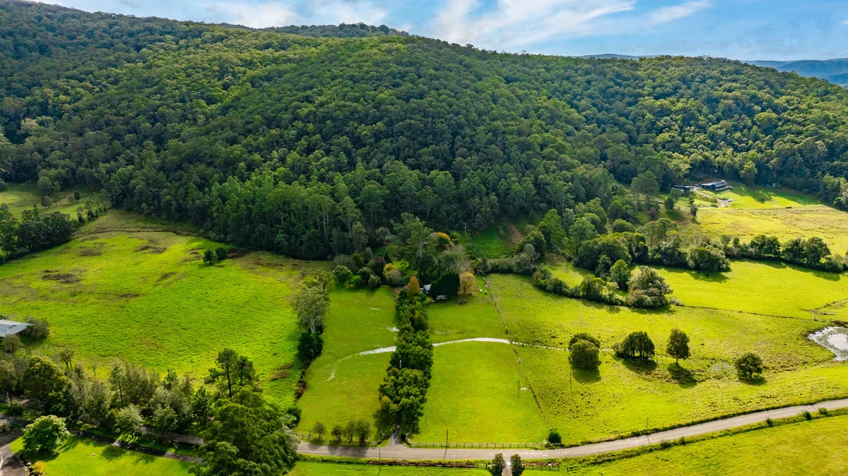 Additional image 3 of 111 Bunning Creek Road, Yarramalong NSW 2259