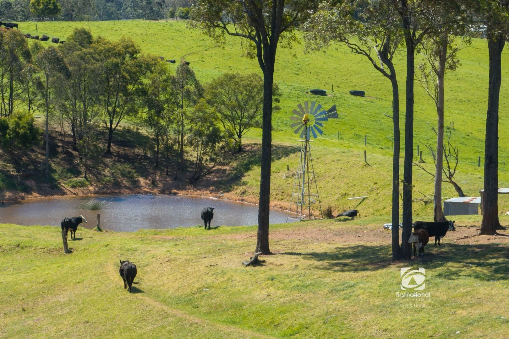 Additional image 19 of 80 Bouchers Road, Clifton Creek VIC 3875
