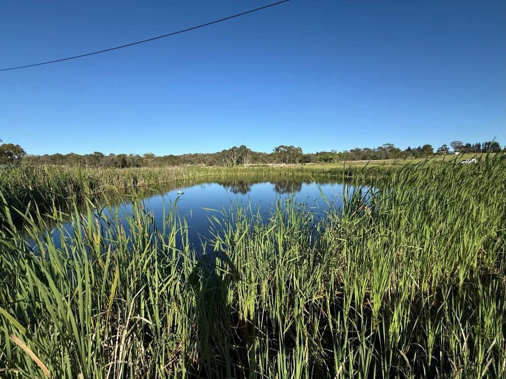 Additional image 8 of Lot 1/1065 Amiens Rd, Amiens QLD 4380