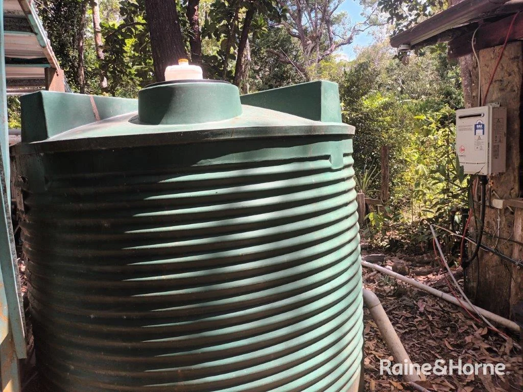 Additional image 16 of Lot 249 White Beech Road, Cow Bay, Daintree QLD 4873