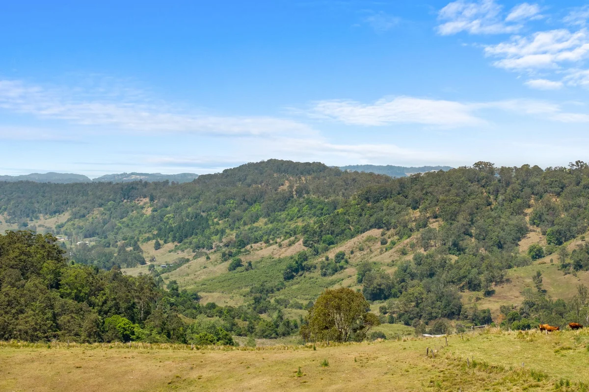 Additional image 32 of 383 Bice Road, Leycester NSW 2480