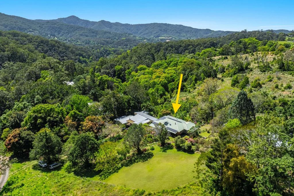 Additional image 4 of 197 Palmwoods Road, Palmwoods NSW 2482