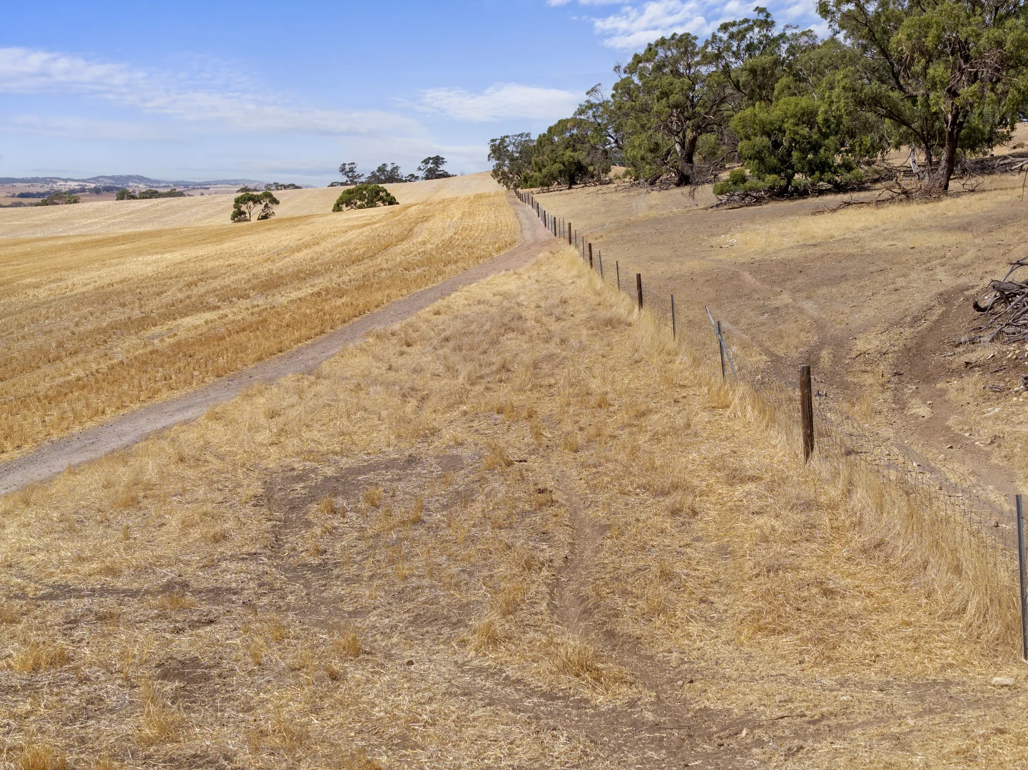 Additional image 26 of 'Merilden Feedlot' & 'Brads', Manoora SA 5414