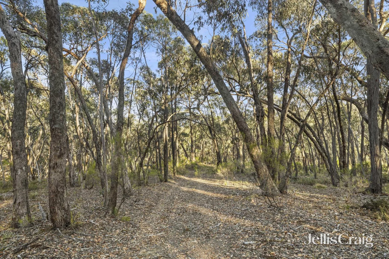 Additional image 5 of 589 Vaughan Springs Road, Drummond North VIC 3446