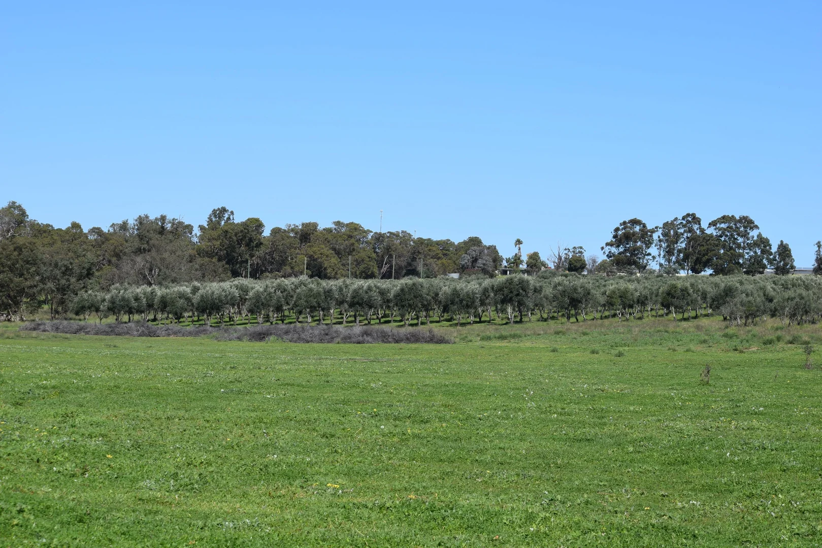 Additional image 8 of 62 Cheriton Road, Gingin WA 6503