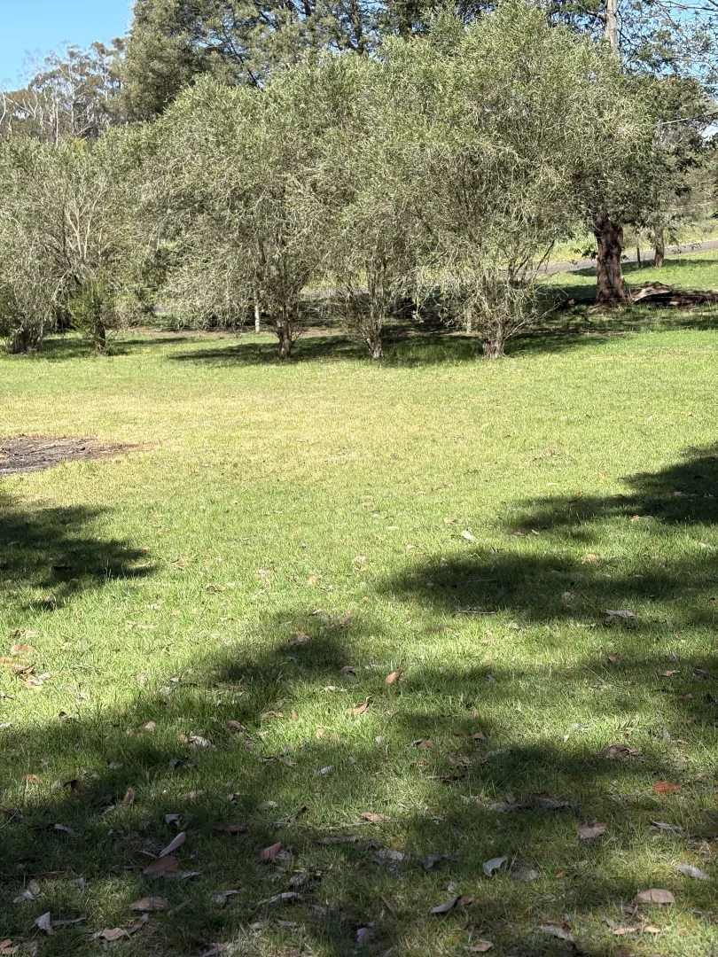 Additional image 7 of Lot 17 Pincini Crt, Boolarra VIC 3870