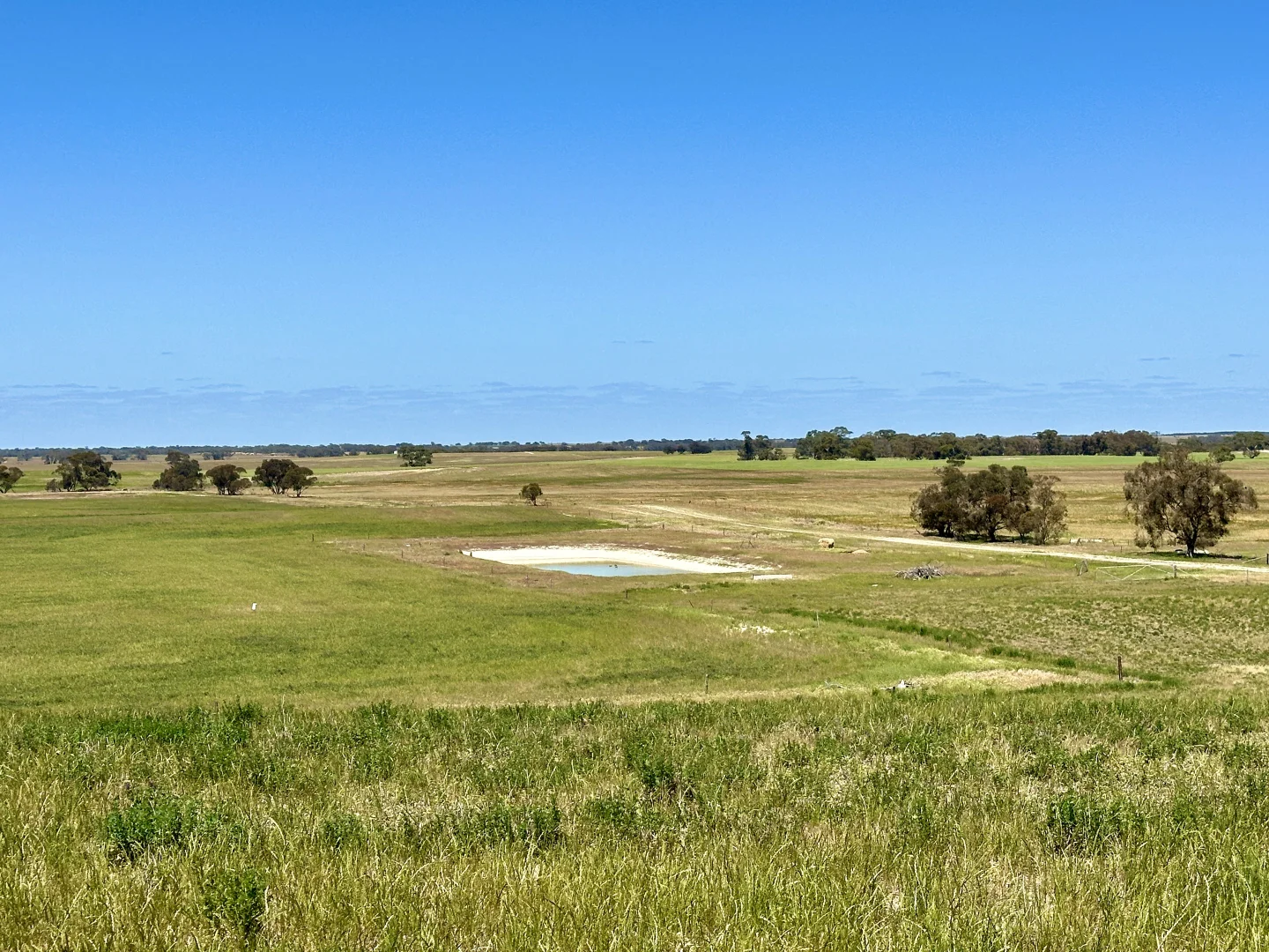 Additional image 15 of 2117 Senior Road, Senior SA 5268