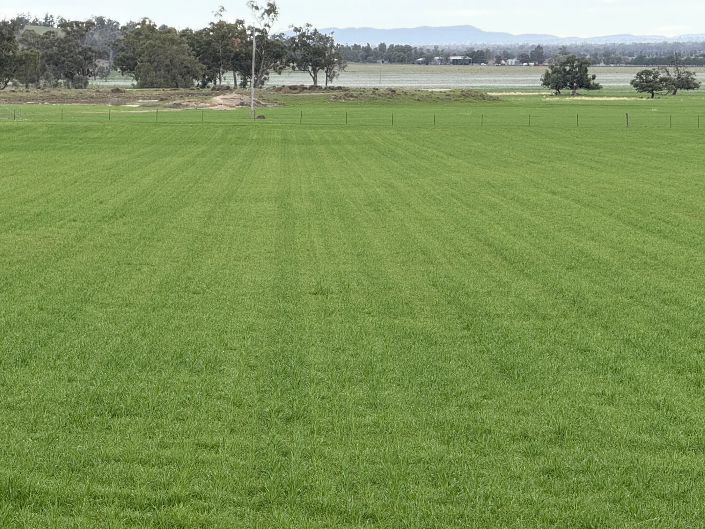 Additional image 30 of 877 Mount Tallabung Road, Forbes NSW 2871