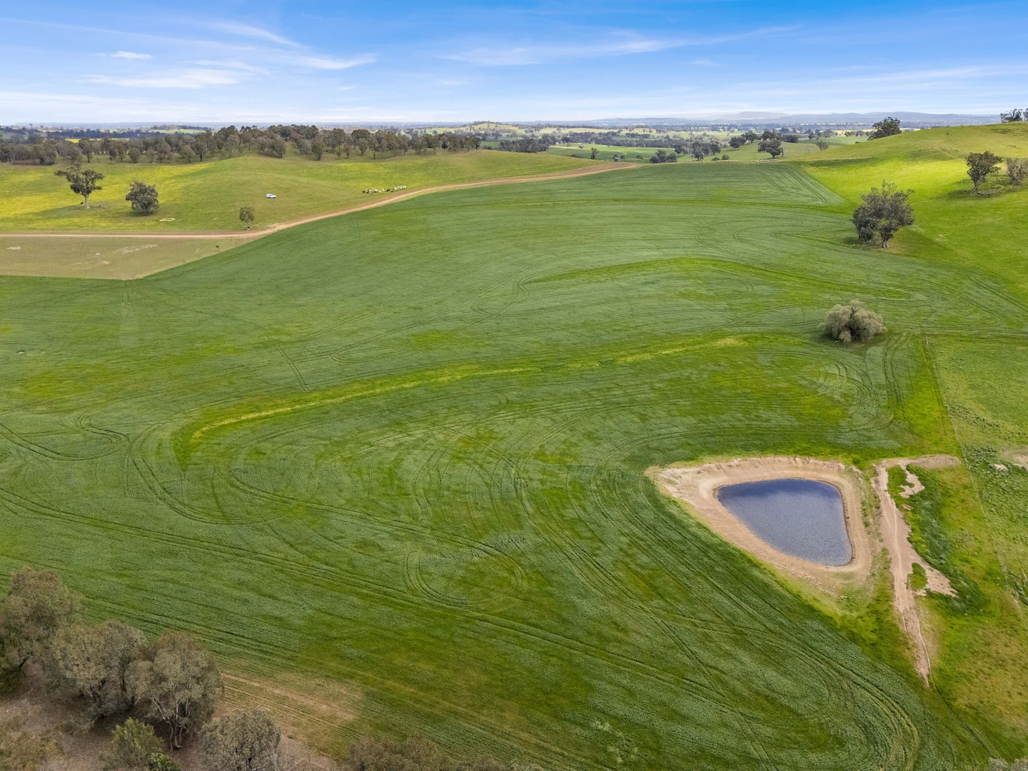 Additional image 39 of 2056 Benalla-Yarrawona Road, Bungeet West VIC 3726