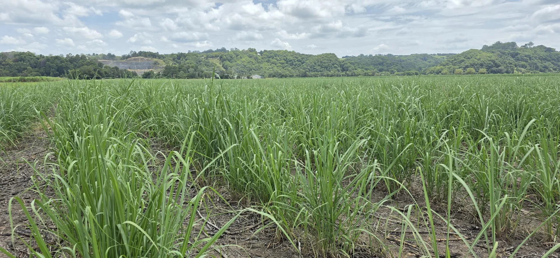 Additional image 14 of 423 Teven Road, Teven NSW 2478