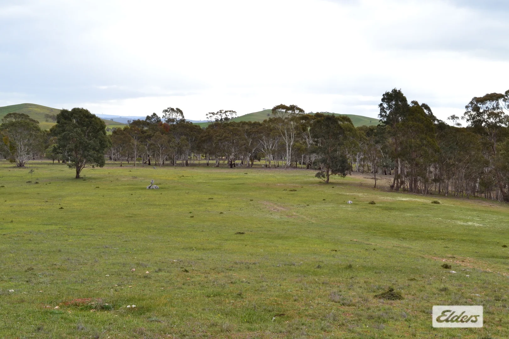 Additional image 17 of 552 Spring Flat Road, Crowlands VIC 3377