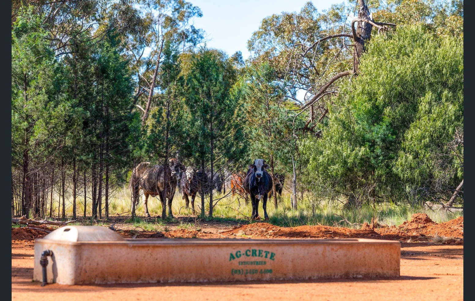 Additional image 2 of 'Black Range' 2880 Tallebung Road, Eremerang NSW 2877