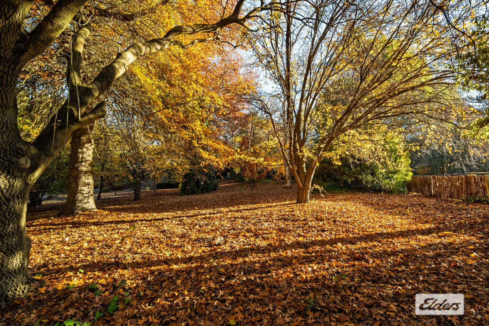 Additional image 32 of 134 Yackandandah Road, Yackandandah VIC 3749