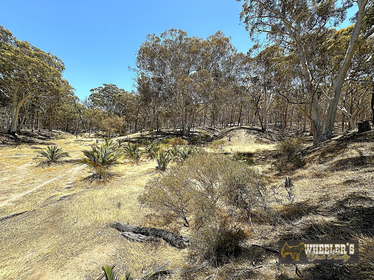 Additional image 18 of York WA 6302