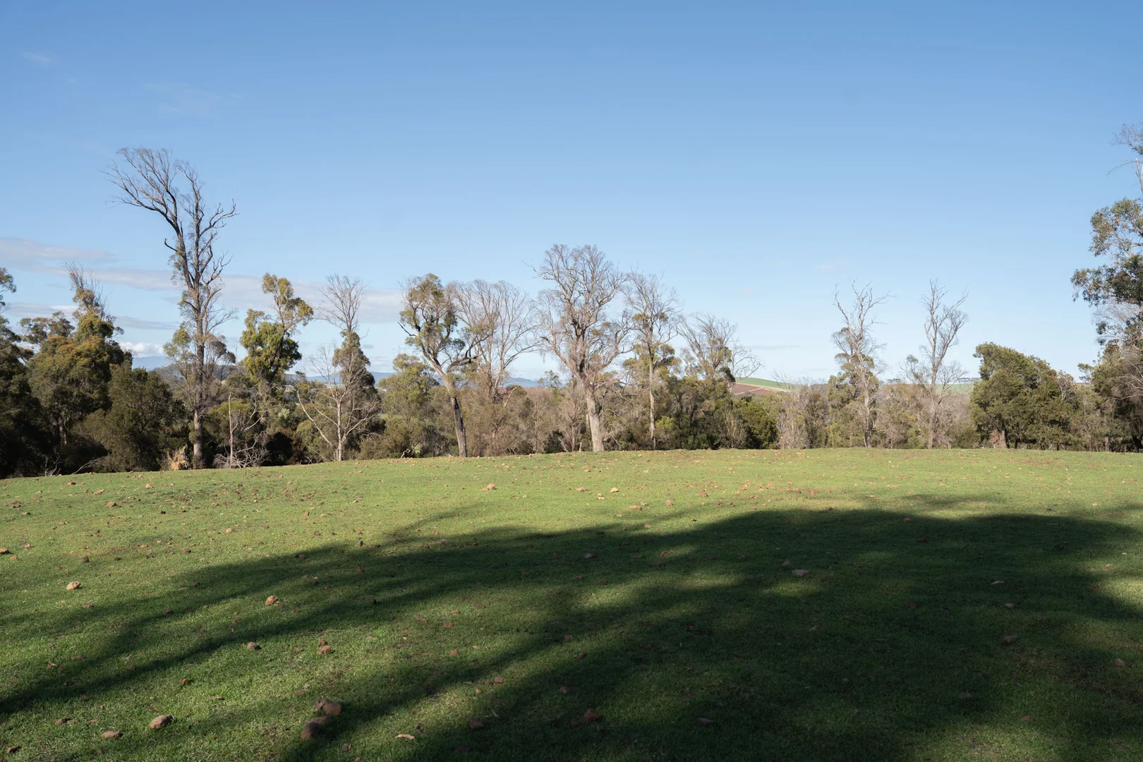 Additional image 11 of 51 Annies Lane, Northdown TAS 7307