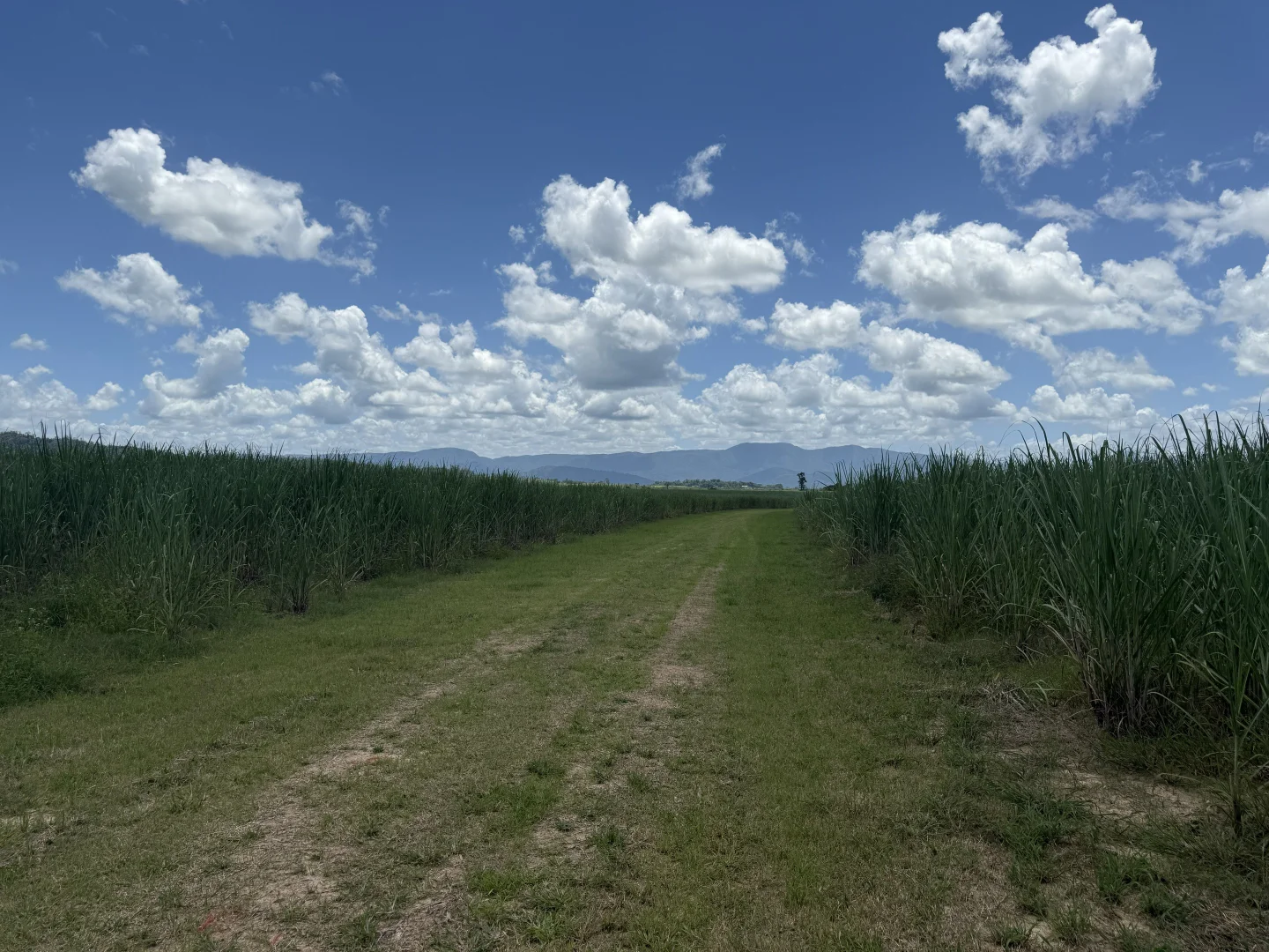 Additional image 2 of 53 Scougall Road, Jarra Creek QLD 4854