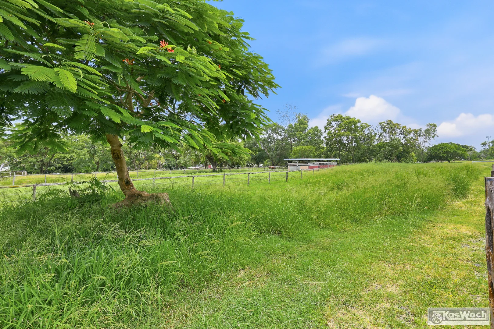 Additional image 39 of 37 JELLICOE STREET, Port Curtis QLD 4700