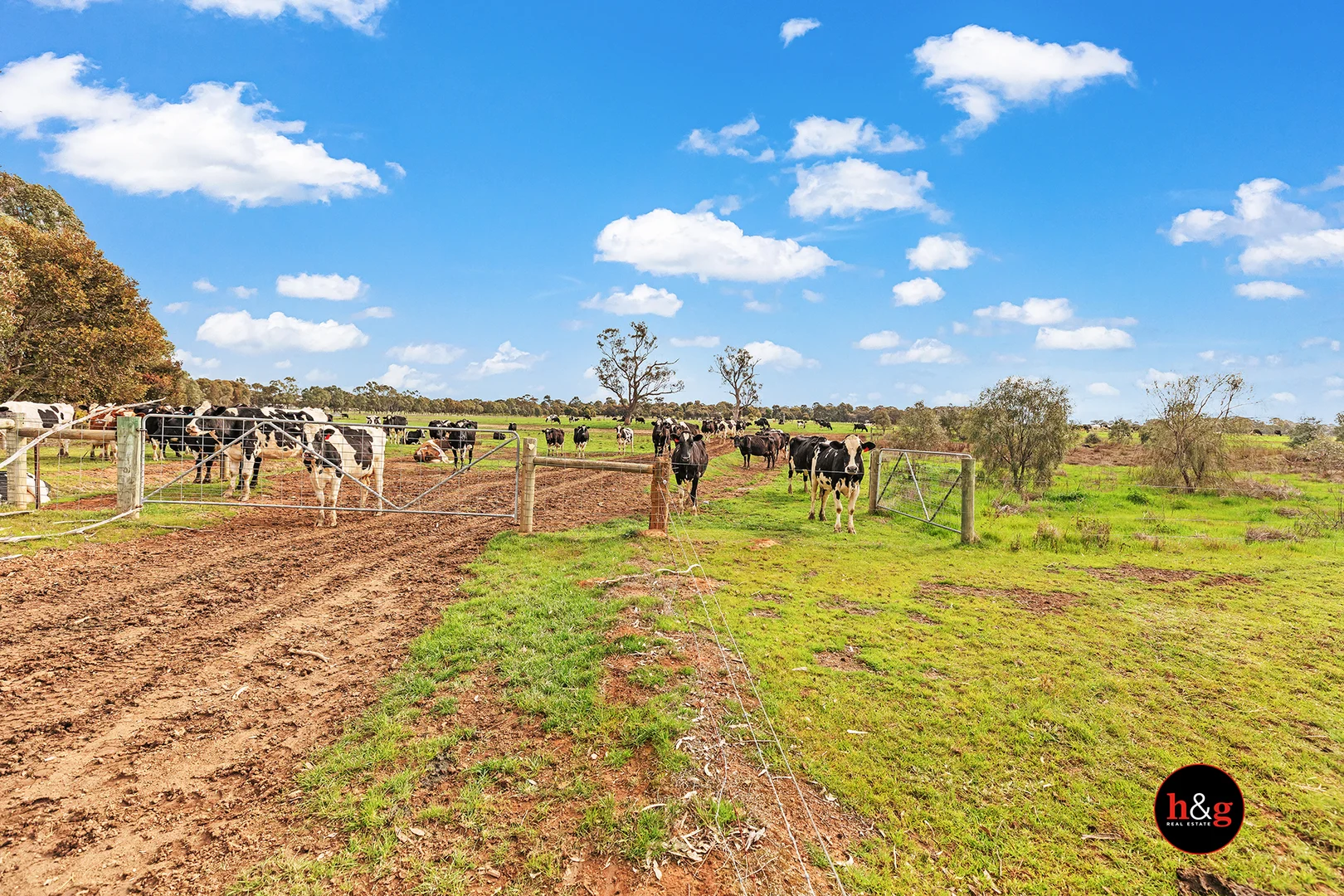 Additional image 4 of 1025 McColl Road, Kyabram VIC 3620