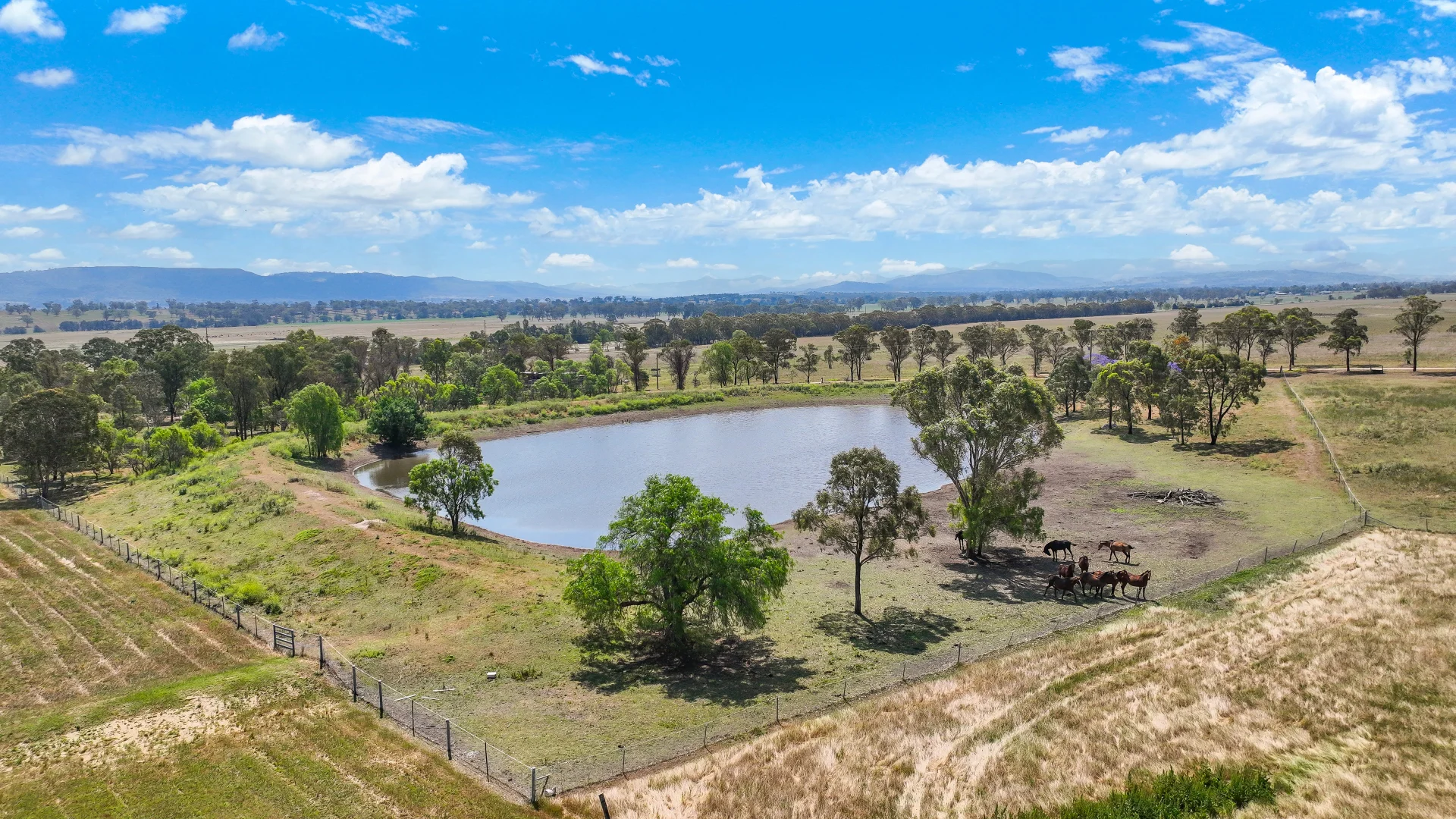 Additional image 29 of 2022 New England Highway, Scone NSW 2337