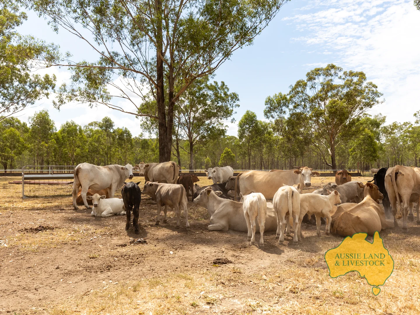 Additional image 32 of 43 & 50, . Kalliwa Road, Mingo QLD 4625