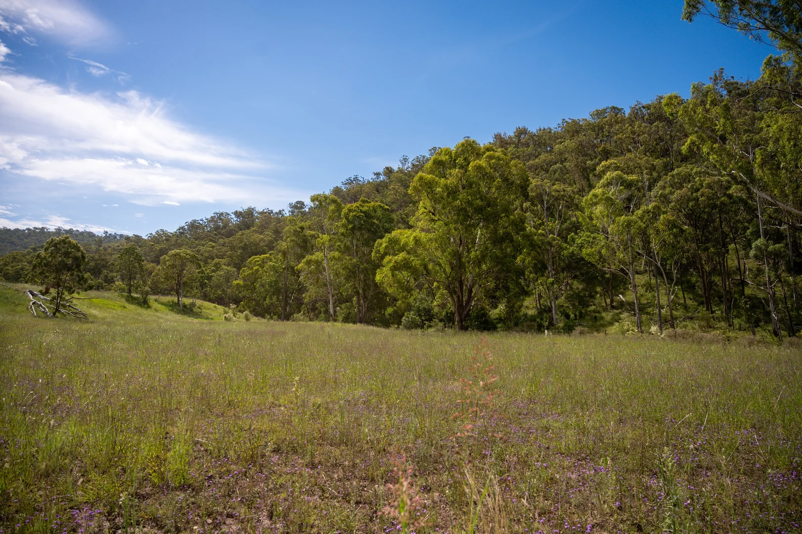 Additional image 22 of 1006 North Branch Road, Goomburra QLD 4362