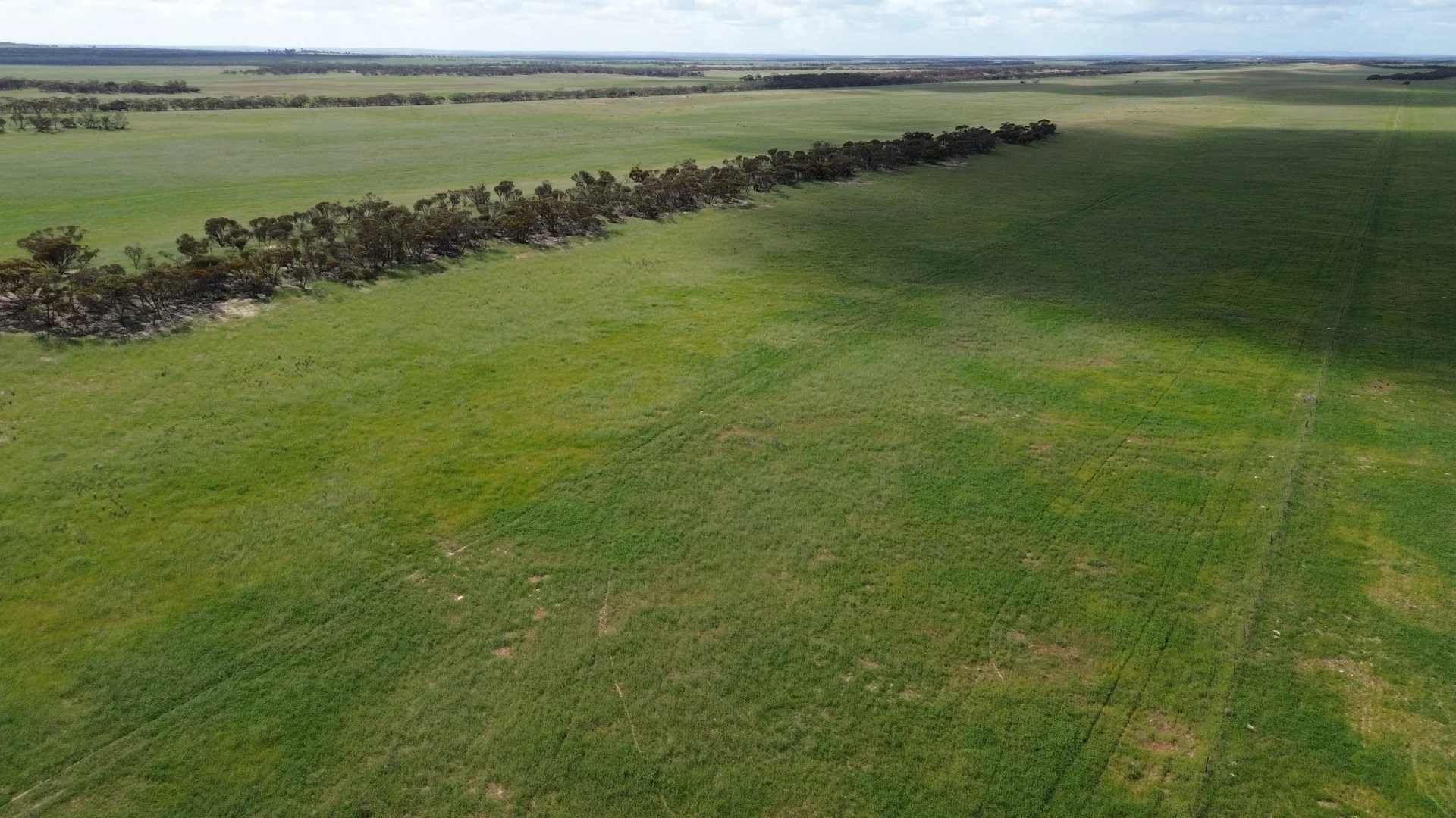 Lot 18 Tod Highway, Warramboo SA 5650