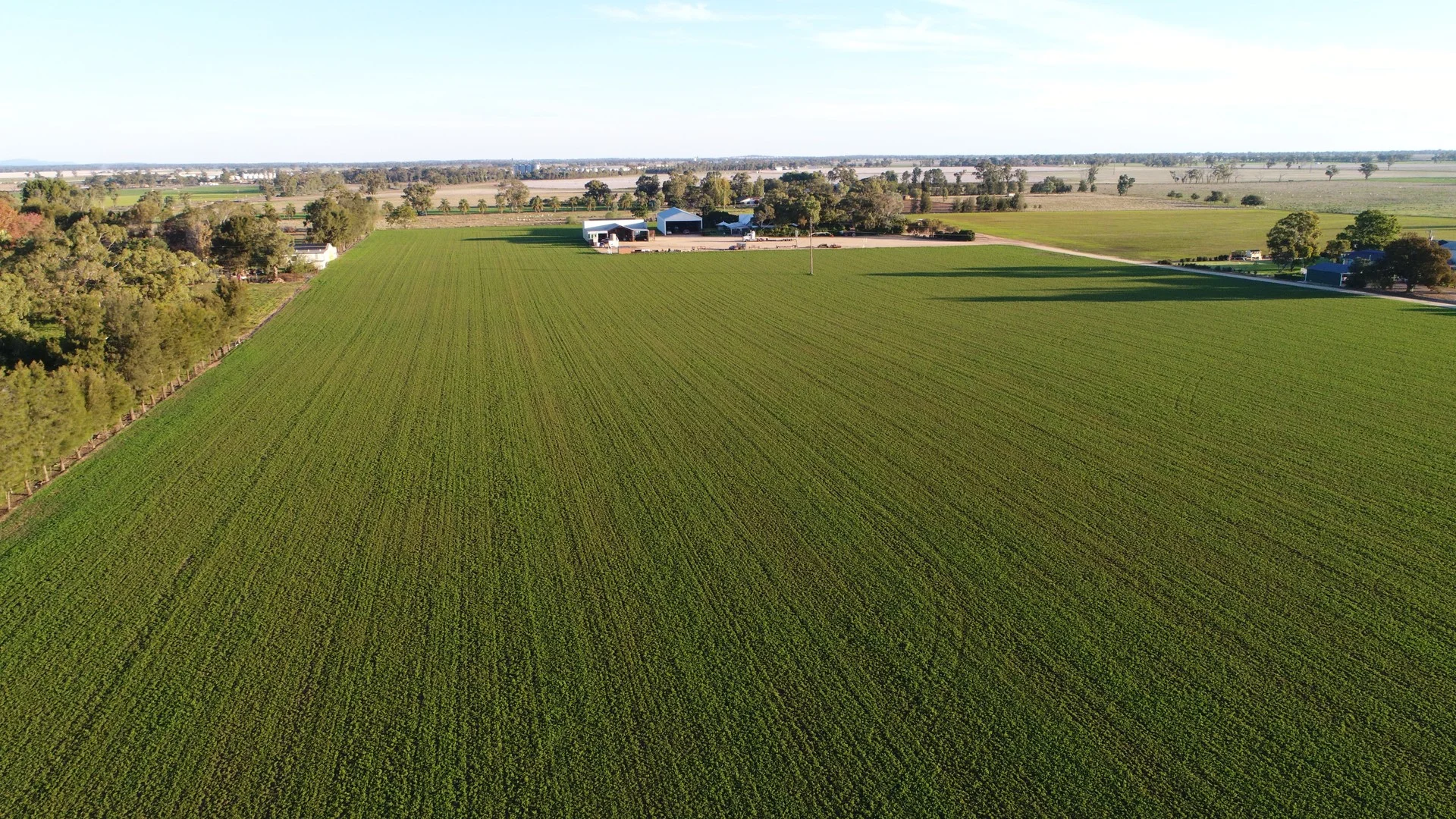 149 Old Backwater Rd, Narromine NSW 2821