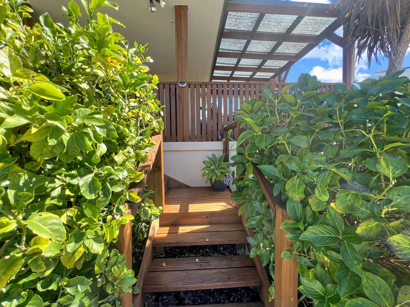 Additional image 4 of 36 Cameron Street, St Helens TAS 7216