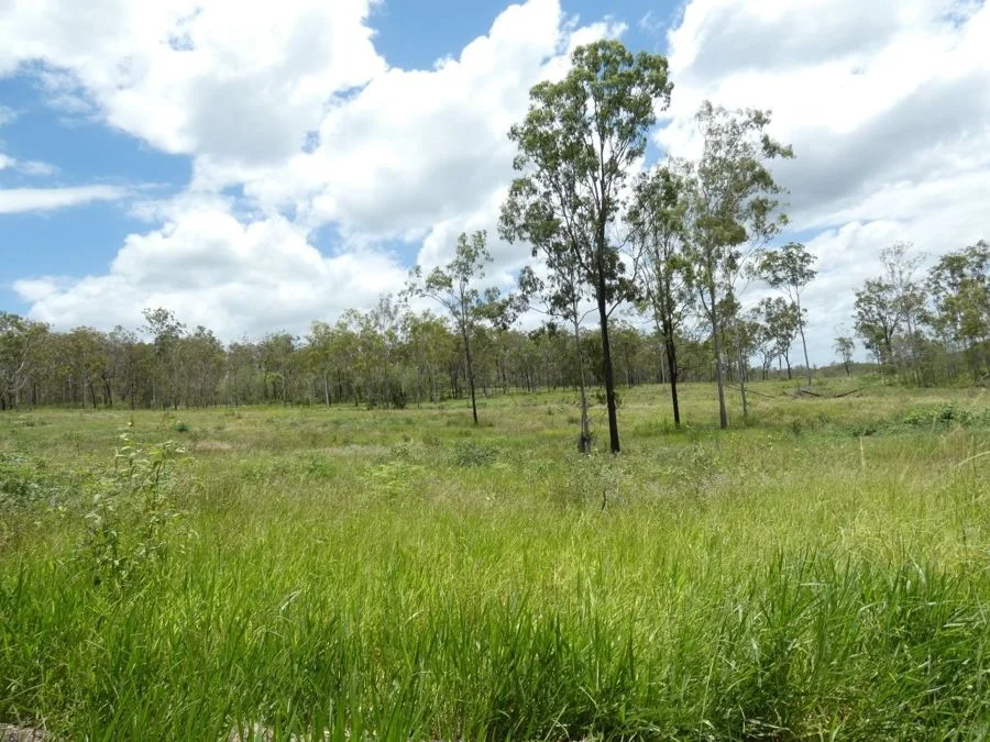 Additional image 5 of Lot 43 Moolyung Road, Waterloo QLD 4673