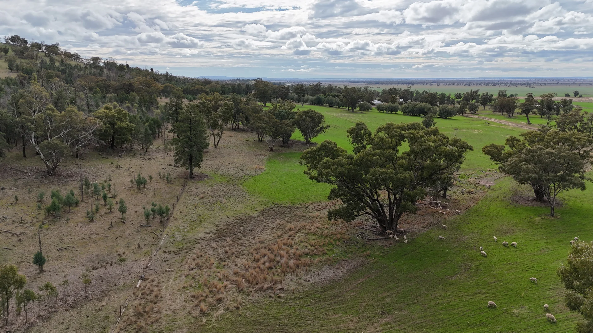Additional image 6 of 877 Mount Tallabung Road, Forbes NSW 2871