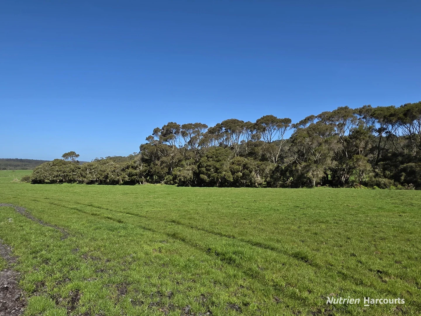 Additional image 10 of 60 Skippings Road, Kordabup WA 6333