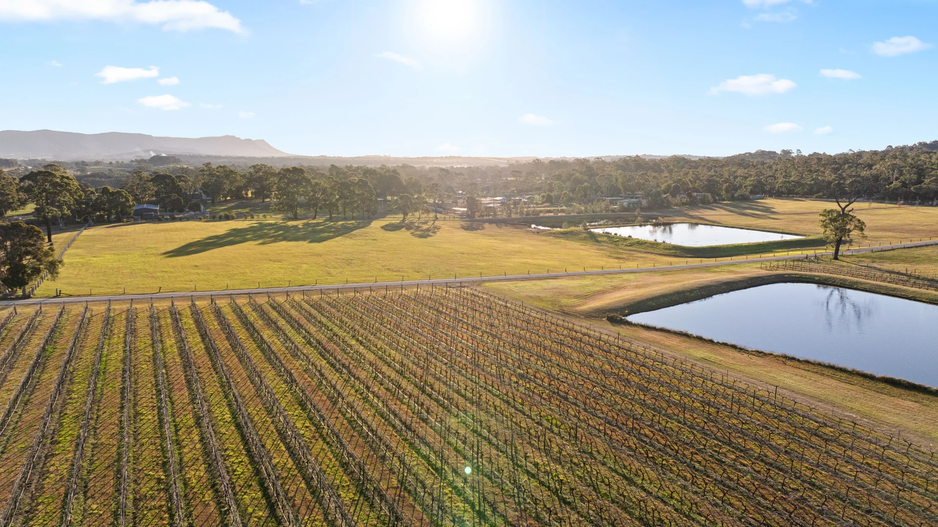 Additional image 28 of 168 Lomas Lane, Nulkaba NSW 2325