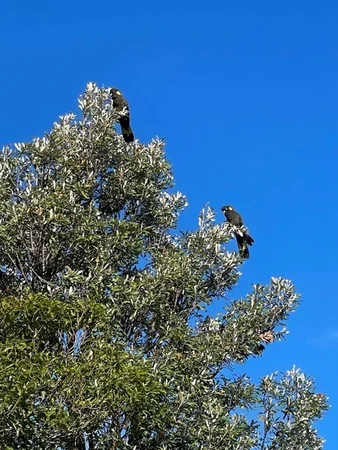 Additional image 23 of 112 David Street, East Devonport TAS 7310