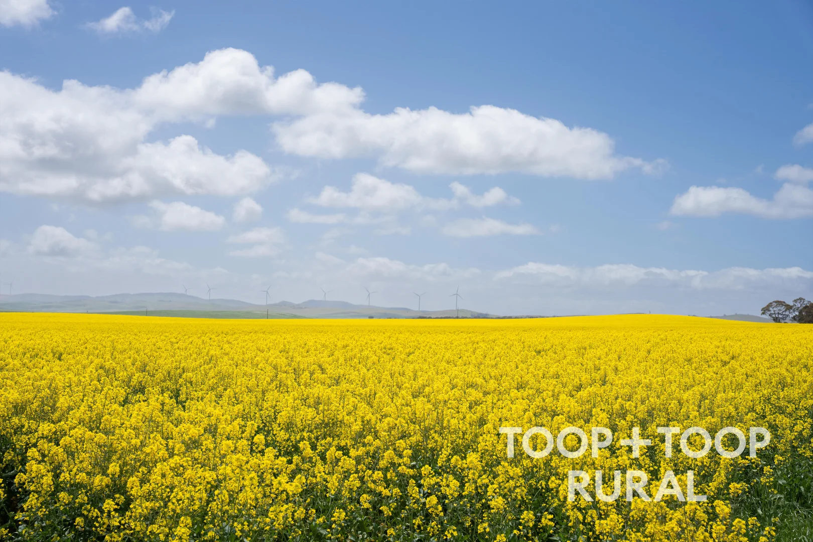 Additional image 10 of Hardings Road, Black Springs SA 5413