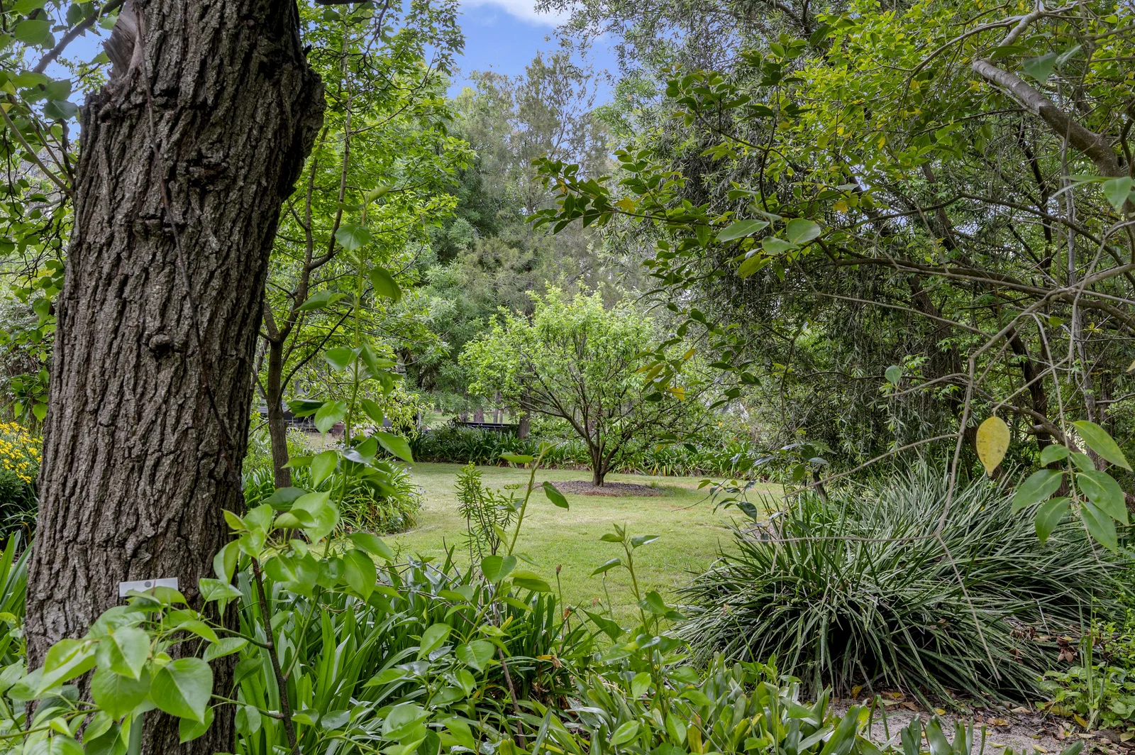 Additional image 17 of 228 Gandini Lane, Lima East VIC 3673