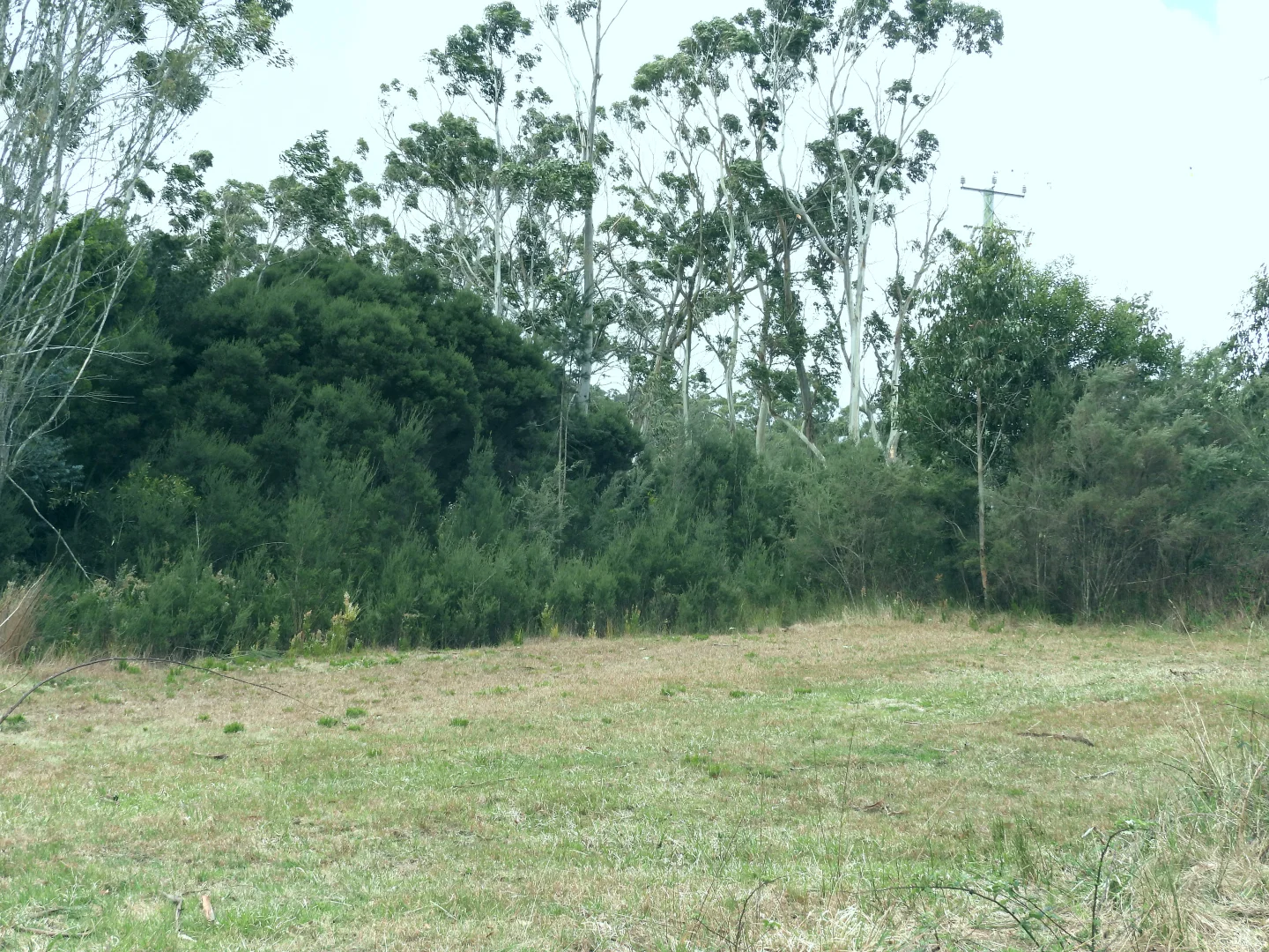 Additional image 22 of 22 Ansons Bay Road, St Helens TAS 7216