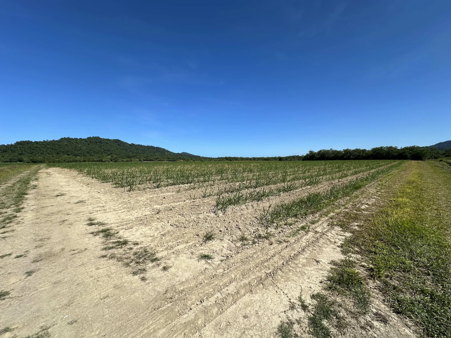 Additional image 28 of East Feluga QLD 4854