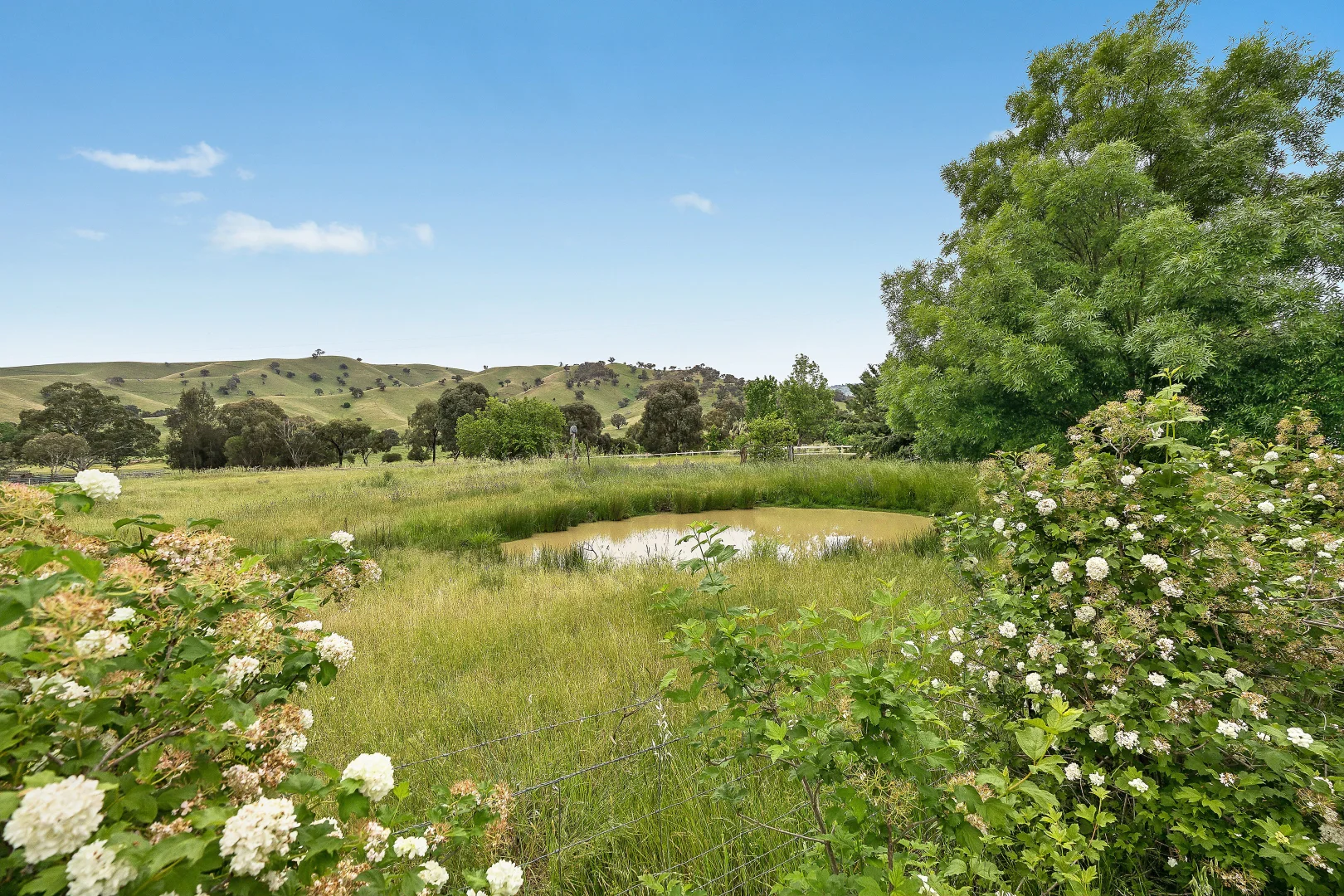 Additional image 39 of 558 Bombowlee Creek Road, Tumut NSW 2720