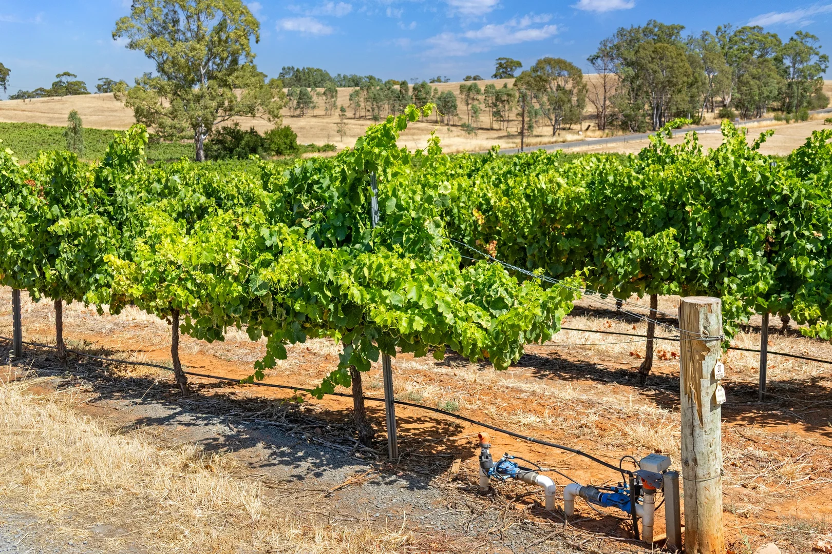 Additional image 16 of Lot 20 Spring Farm Road, Spring Farm SA 5453