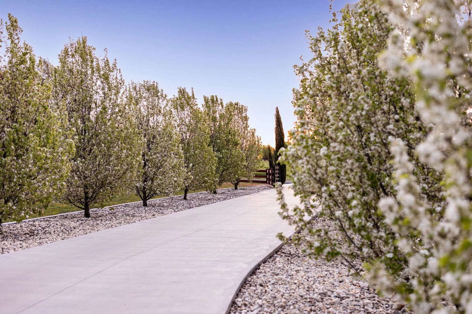 Additional image 21 of 52 Sunrise Crescent, Lockwood South VIC 3551