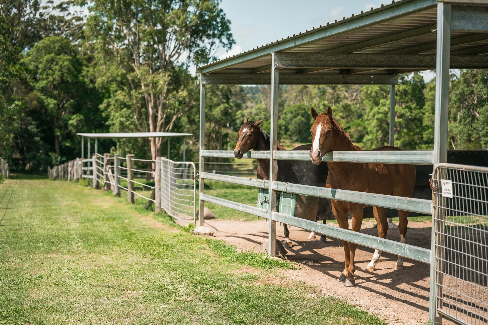 Additional image 3 of 1507 Cooroy Belli Creek Road, Ridgewood QLD 4563